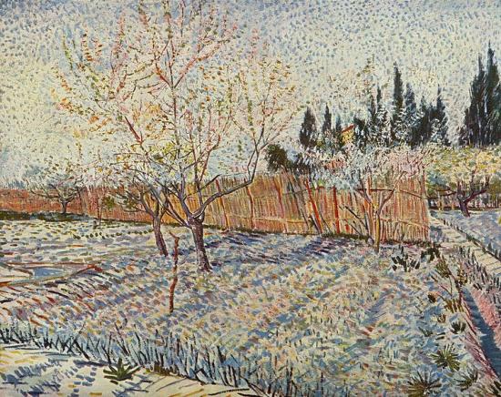 Van Gogh. Verger avec cyprès, 1888